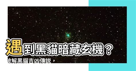 遇到黑貓代表什麼|【汪喵冷知識】你聽過哪些黑貓傳說？ 